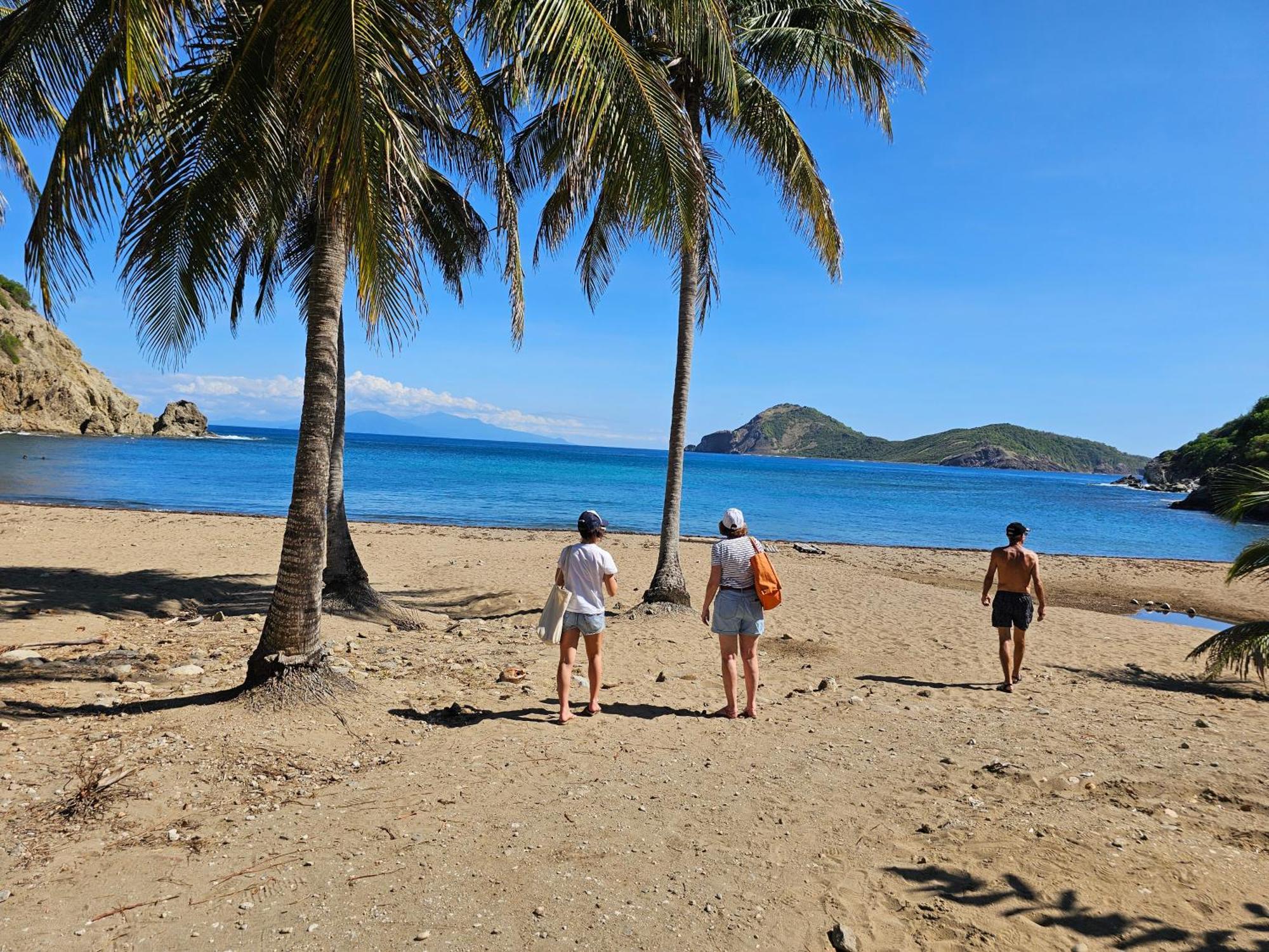 Villa Celyote - Haut De Villa, Vue Mer, A 150M De La Plage Anse Figuier Terre-De-Haut Bagian luar foto